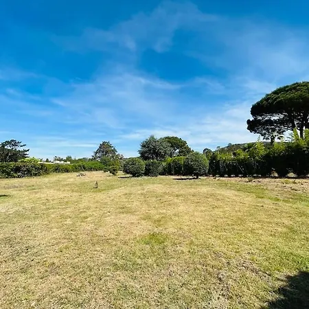 Villa-golfe De Saint-tropez/acces Privee *